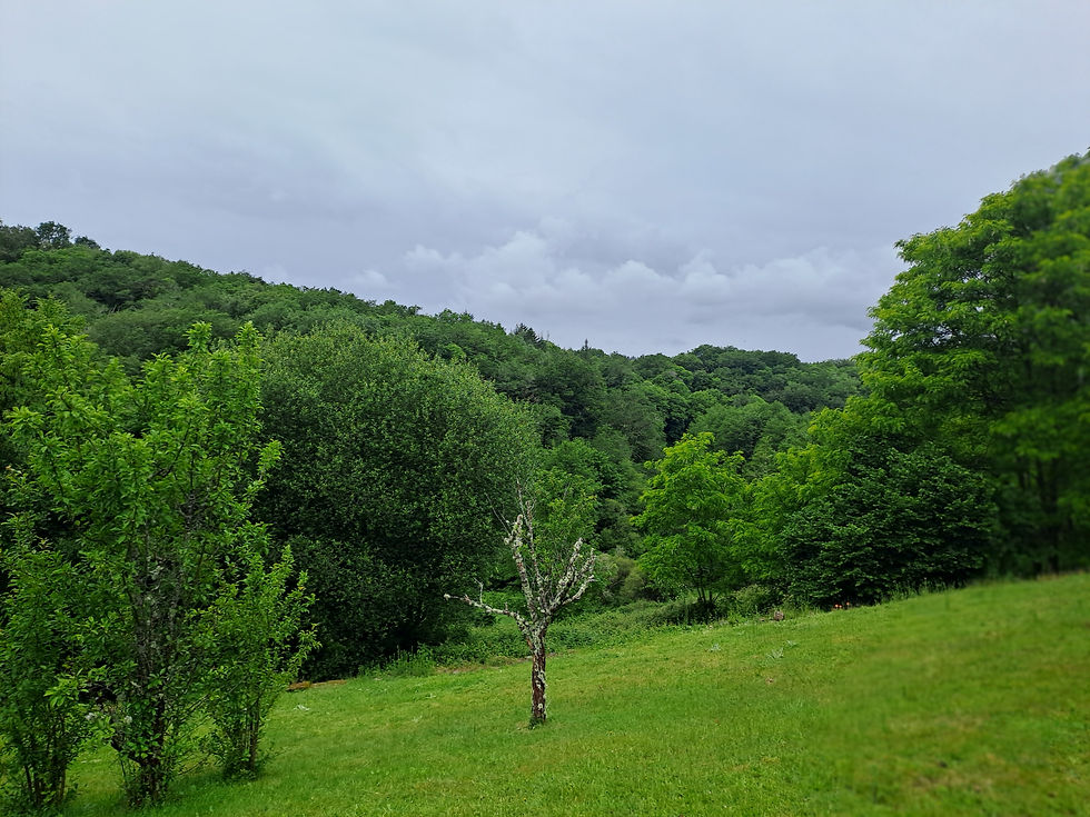 View over the valley