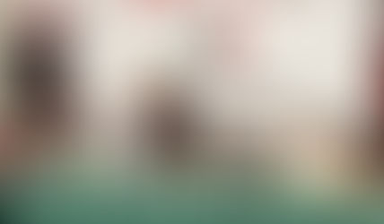 ASUME PILAR MENDIETA DIRIGENCIA DEL ONMPRI EN TLAXCALA