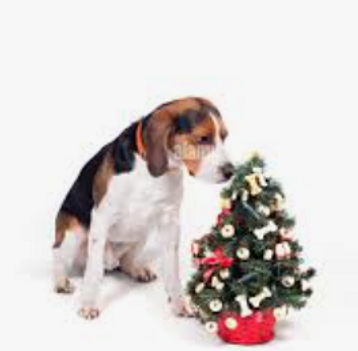 Screenshot 2024-11-15 at 22.02.35.png