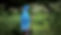 Plantes exotiques.jpg