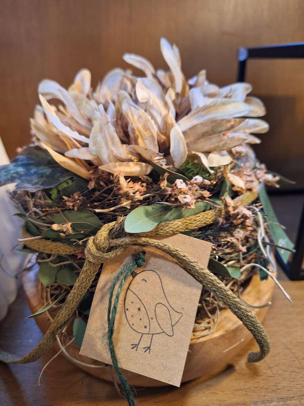 WhatsApp Image 2025-12-25 at 11.39.56