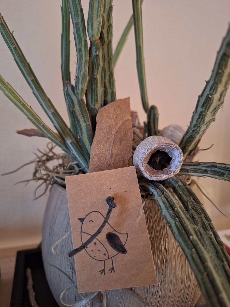 WhatsApp Image 2025-12-25 at 11.39.57 (3)