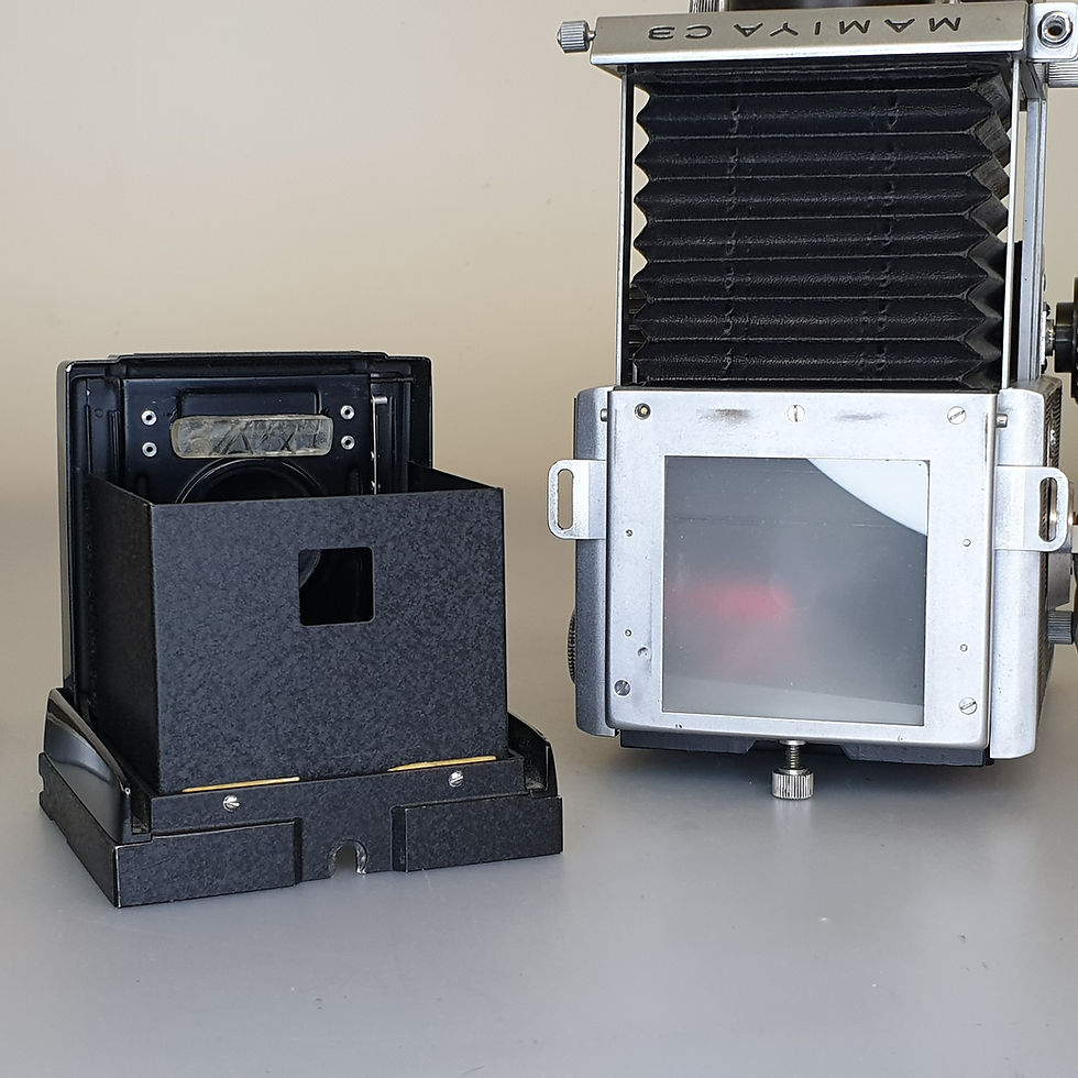 Thumbnail: MAMIYA C3 Professional with 80mm f:2.8 Seikosha-S