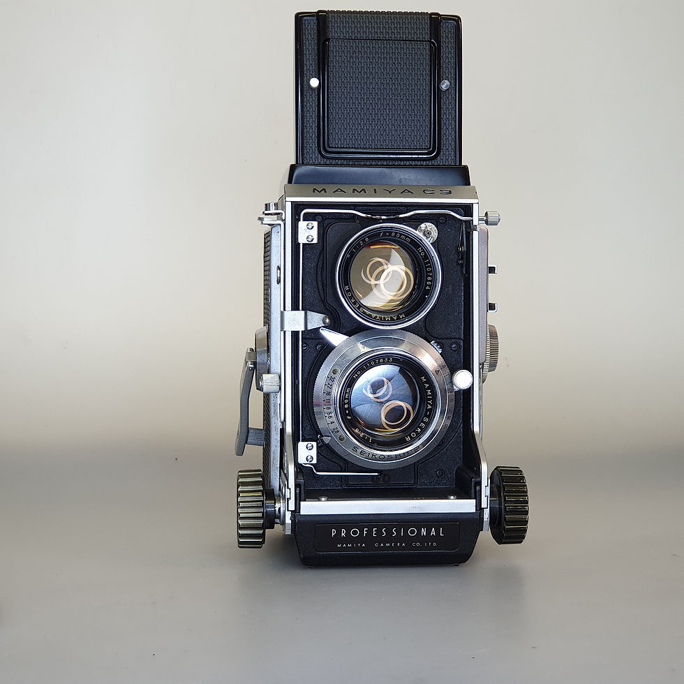 Thumbnail: MAMIYA C3 Professional with 80mm f:2.8 Seikosha-S