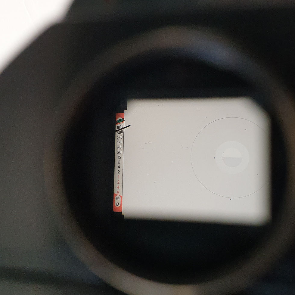 Thumbnail: NIKON FE