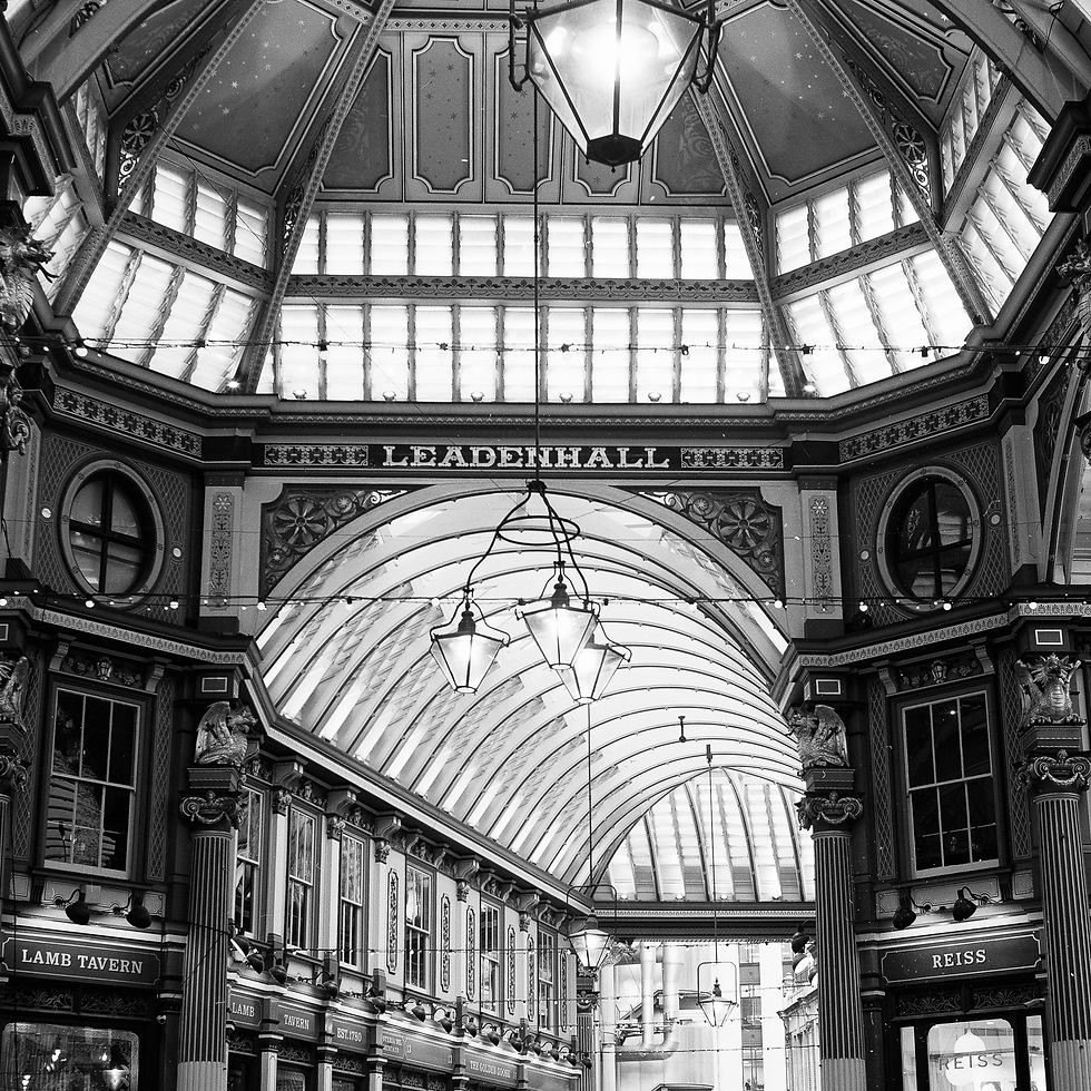 Thumbnail: Yashica MAT