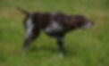 136.jpg