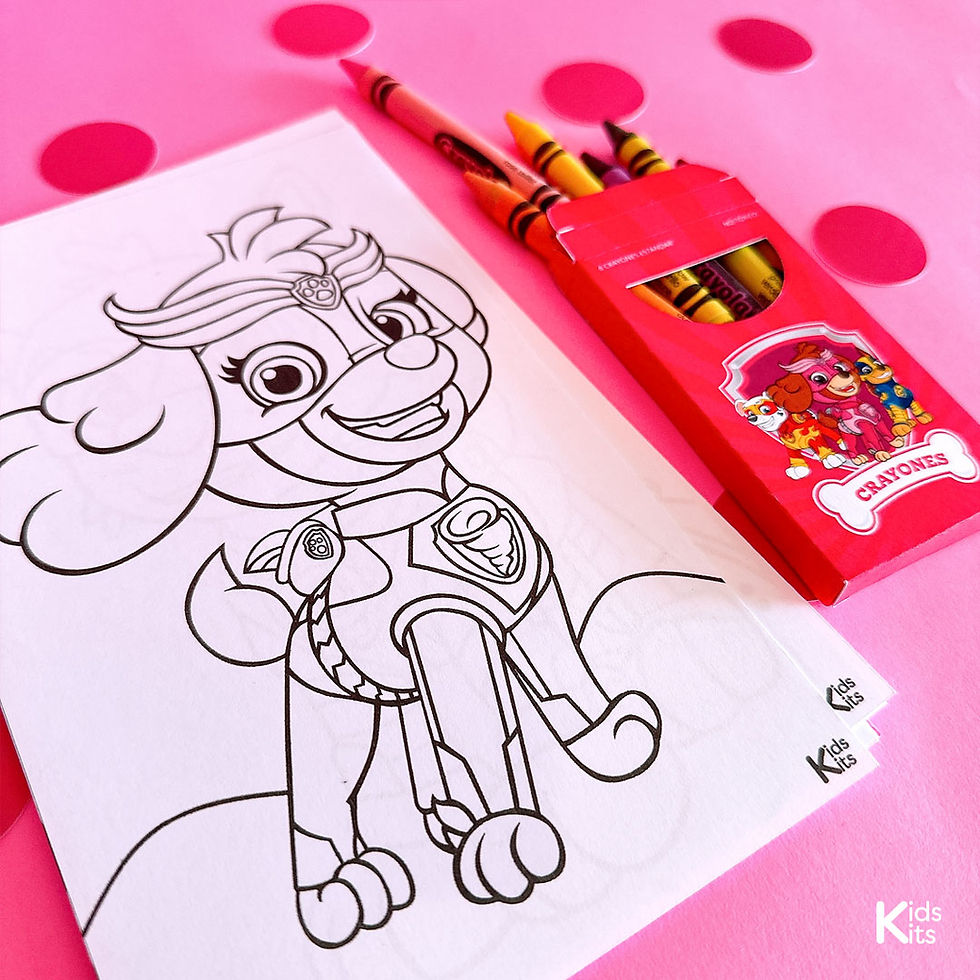 Miniatura: KIT INVITADO PAW PATROL