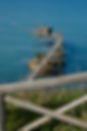 DSCF5570.jpeg
