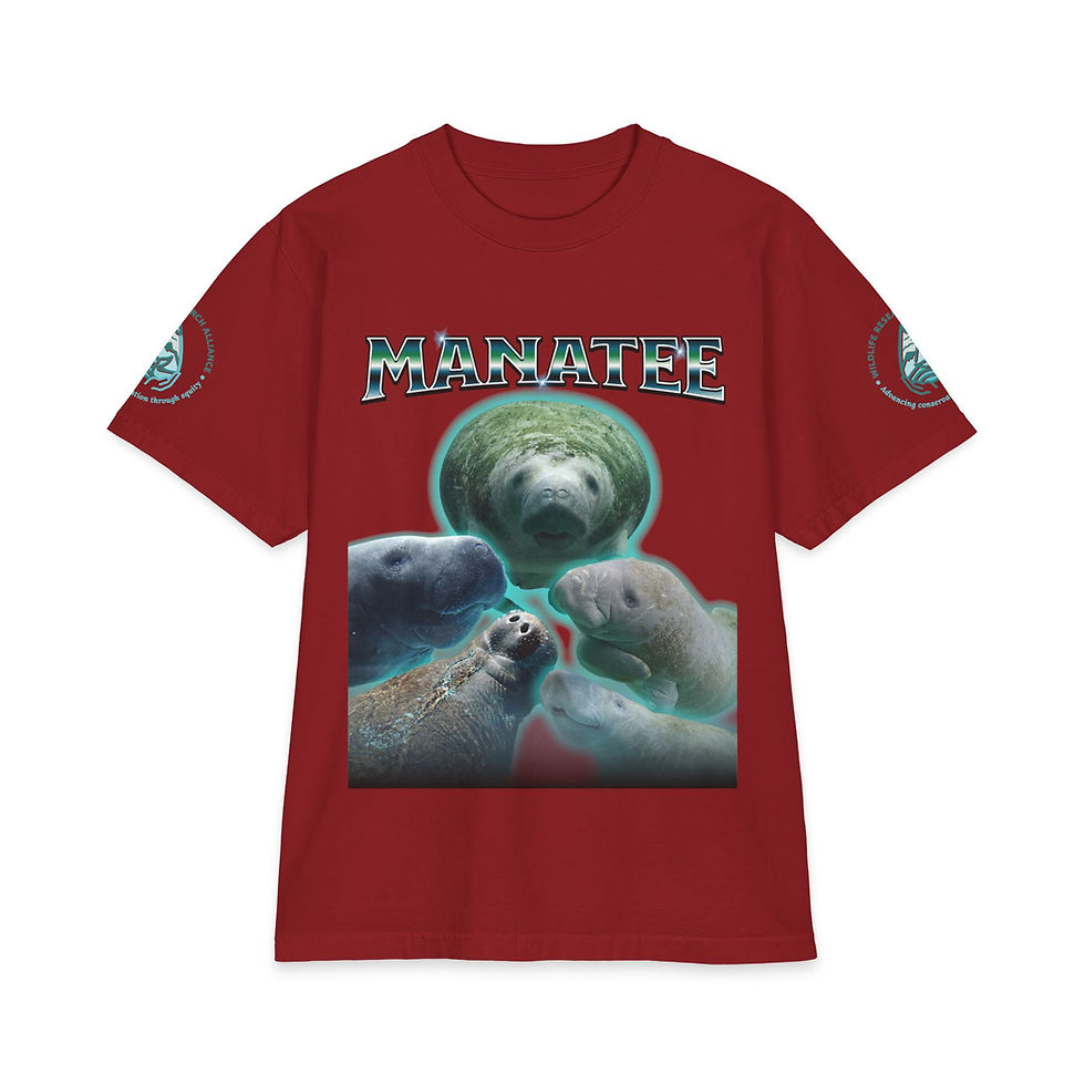 Thumbnail: Unisex Manatee Bootleg Tee - Arm Logo