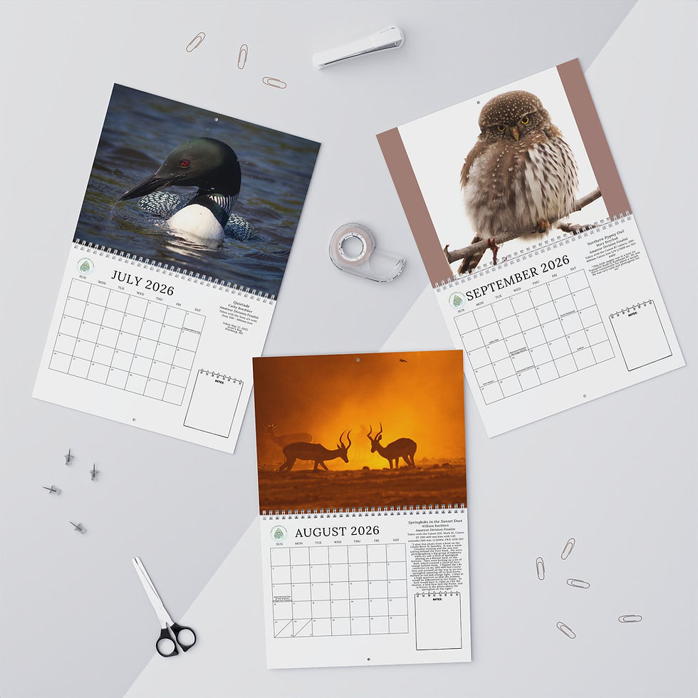Thumbnail: 2026 Wildlife Photography Wall Calendar