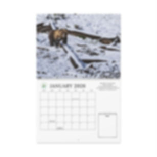 2026 Wildlife Photography Wall Calendar