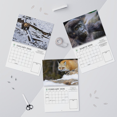 Wildlife Photographer Of The Year Calendar 2026 - Wall Calendars