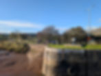 PXL_20251120_111424452.jpg
