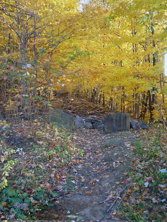 Autumn Near Montreal