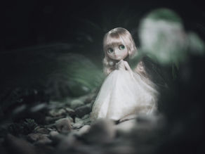 Doll