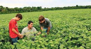 Sustainability Practices in Brazilian Agriculture