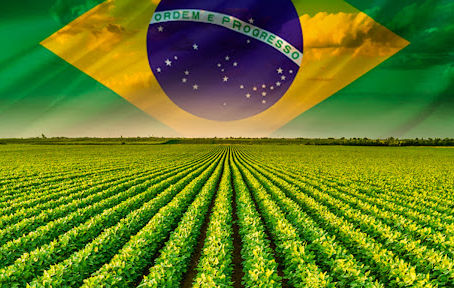 Brazil's Agribusiness: A Global Leader in Sustainable Food Supply