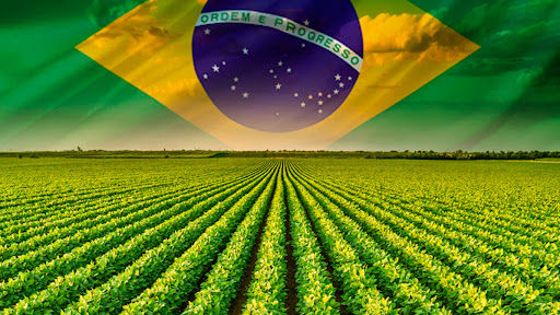 Brazil's Agribusiness