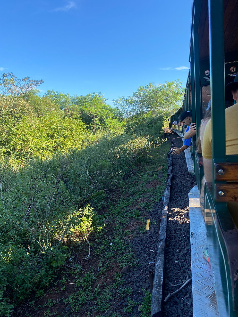 Iguazú national park train