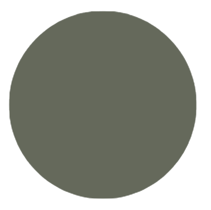 Paint Color sherwin williams