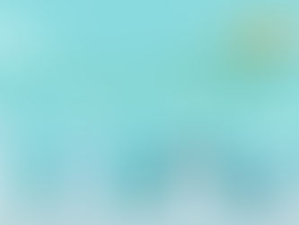 CAN WE EXPECT THE GOVERNMENT SECTOR TO OUTPERFORM? LESSONS FROM THE LAST FISCAL CRISIS