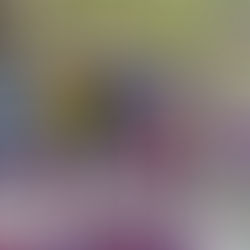 Championnats d’Europe Masters de Madeira : Nils Portemer brille !