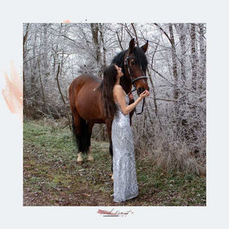 DIY Mane Spray for Horses