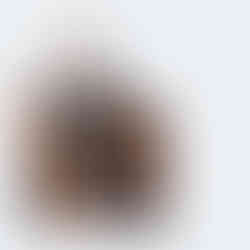 Rucksack zerlegen für DIY Halsband