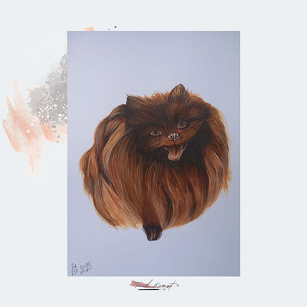 Portrait of brown Pomeranian– hand-drawn unique artwork Tach Kunst
