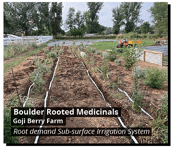 sp11-boulder-medicinals.png