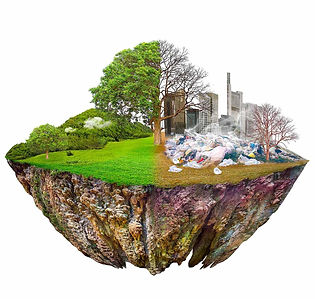 Sustainability_Graphic.jpg