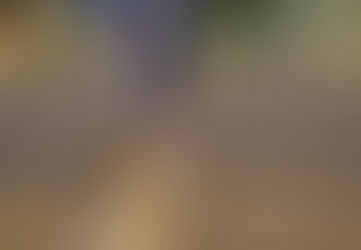 Enfrentarás todos los días situaciones adversas, dependerá de la respuesta que tu des a estas