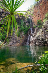 Sandy Creek Falls Kakadu-07780.jpg