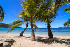Fiji2018-3804.jpg