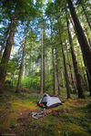 Camp-1.jpg