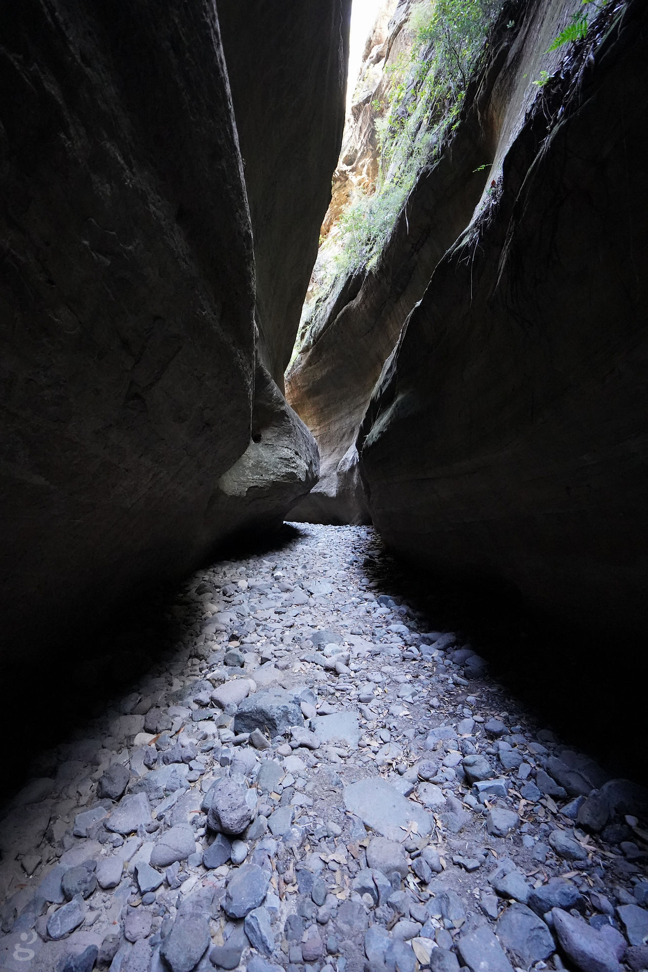 Carnarvon Gorge Boowinda Gorge 