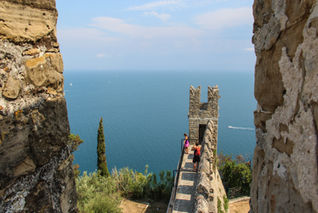 IMG_8607.jpg