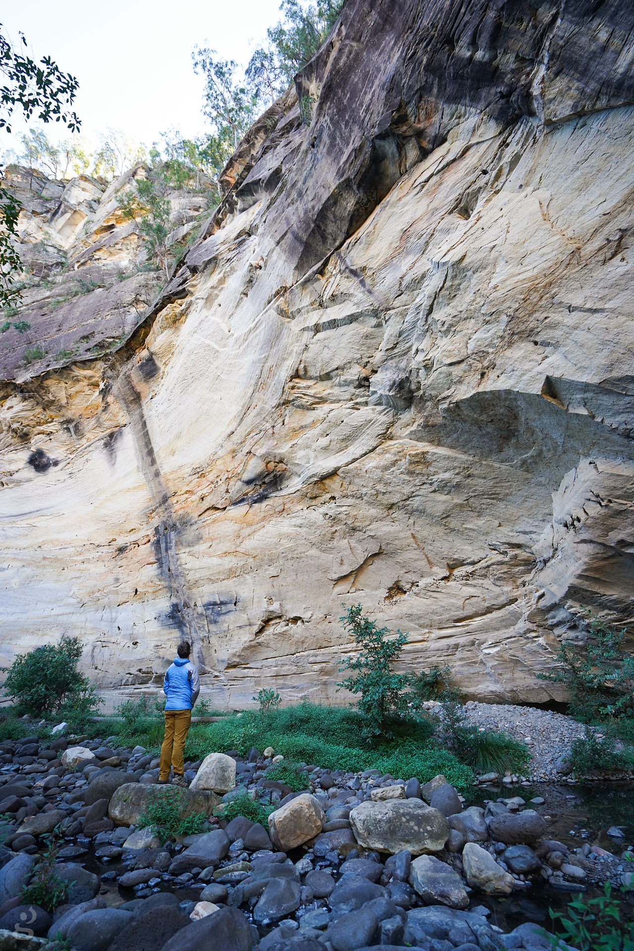 Cliffs Carnarvon Gorge