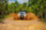 Reynolds River Track Litchfield