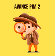 AVANCE PIM 2.png