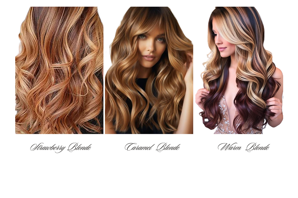 Strawberry Blonde Balayage, caramel Blonde Balayage, warm blonde Balayage