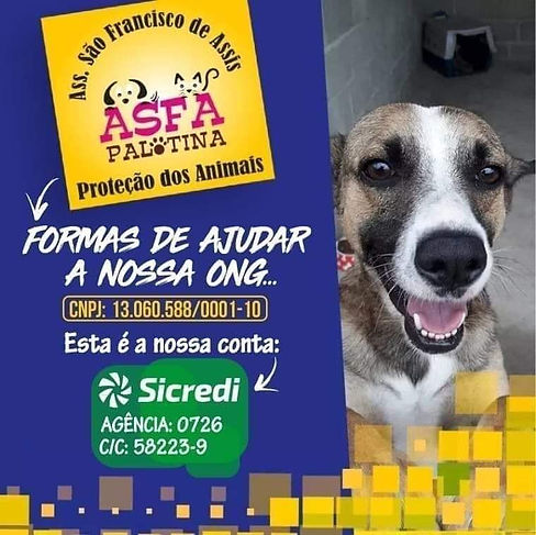 CONTA ASFA.jpeg