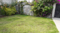 Vista jardín 2