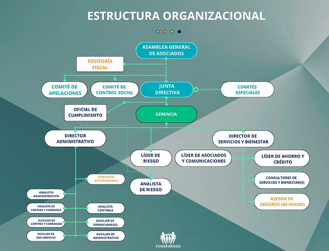 ESTRUCTURA ORGANIZACIONAL