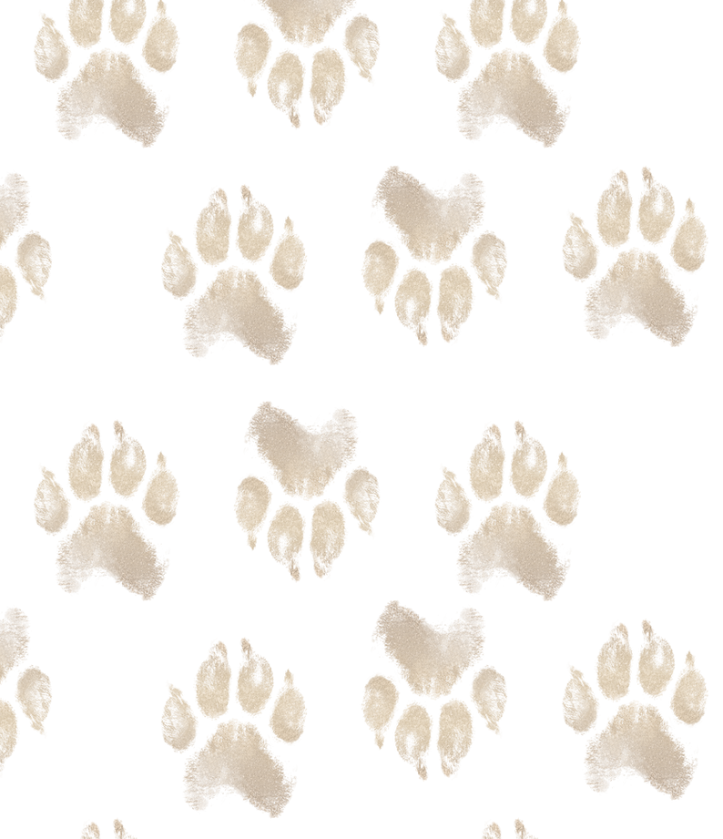 Background4.png