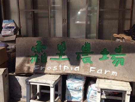 金子さん流土壌改良+矢野さん流大地の環境改善