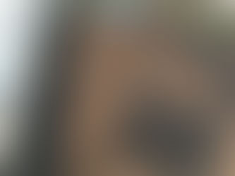 小さな畑の環境改善