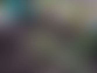 大地の再生講座2018