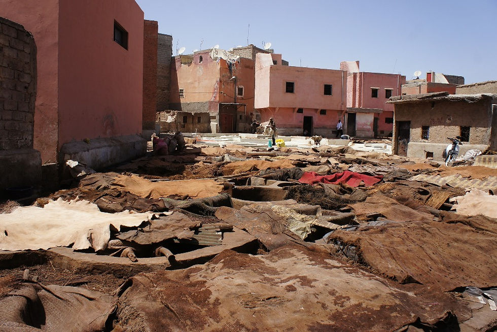Leather Tanneries Marrakech